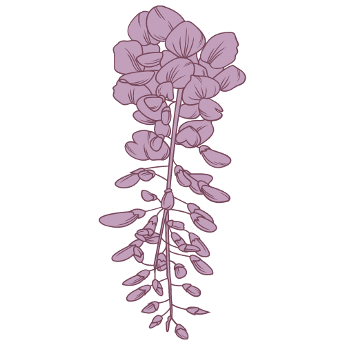 wisteria by goartificial